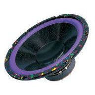Boxe Auto DIFUZOR 10 INCH 8 OHM