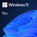 Windows 11 Pro 64-bit Engleza Retail/FPP USB Flash