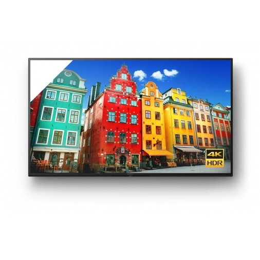 Display Profesional FW-75BZ30J 75inch 11ms UHD Black
