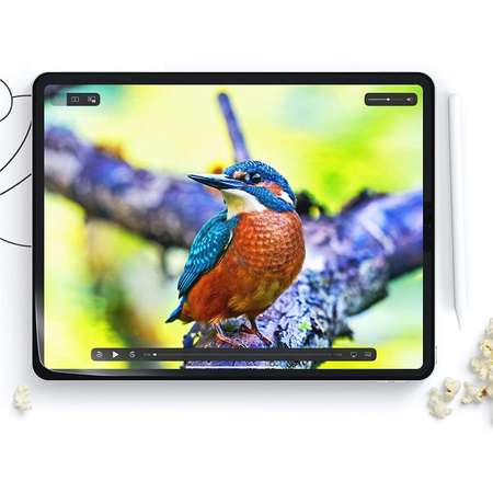 Folie protectie tableta Glass Pro Set 2 folii protectie HOFI Paper Pro compatibil cu iPad 10.2 inch 2019/2020/2021 Matte Clear