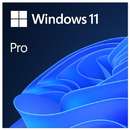 Sistem Operare Microsoft MS ESD Windows Professional 11 64-bit All Languages Online Product Key License 1 License Downloadable ESD NR