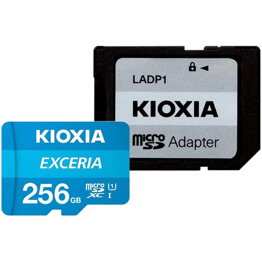 Card de Memorie Exceria 256GB