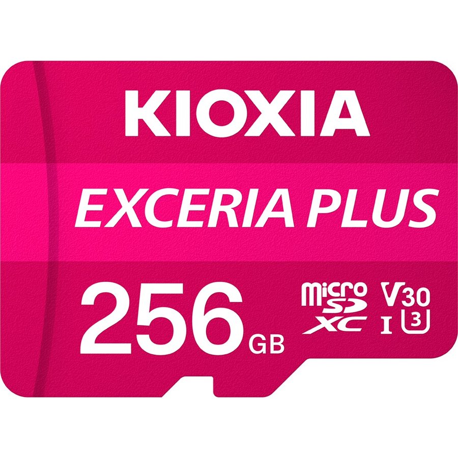 Card de Memorie Exceria Plus 256GB