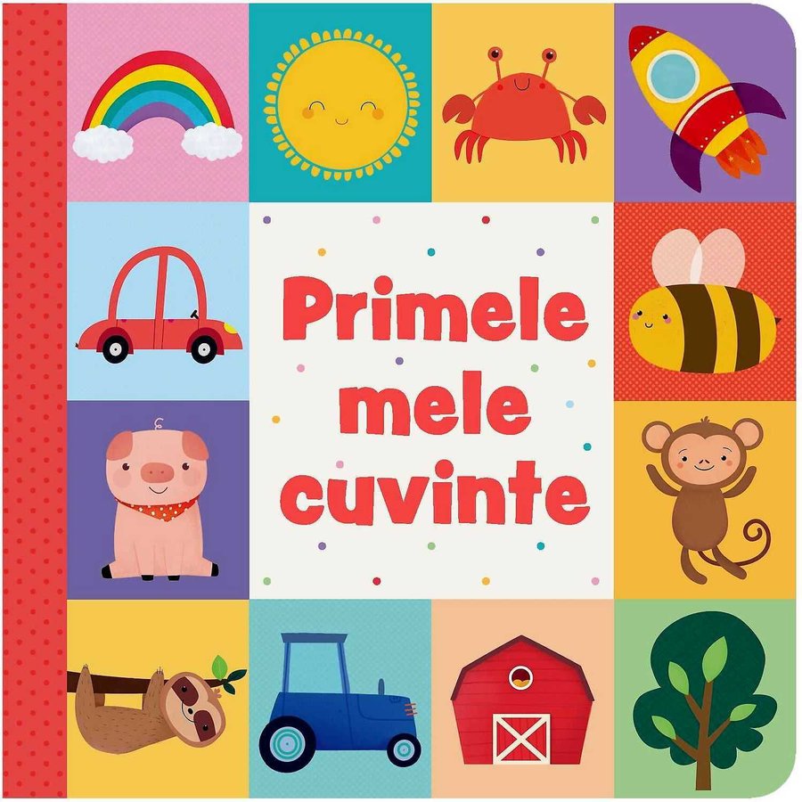 Jucarie Educativa Primele mele cuvinte