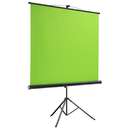 Green Screen Trepied 150 x 180cm Pentru Streaming Negru/Verde
