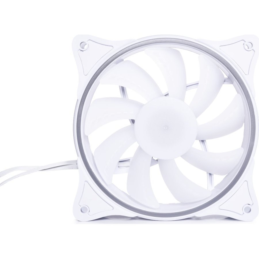 Ventilator Rise Aurora 120mm RGB White