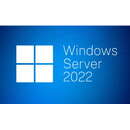 Windows Server CAL 2022 Engleza 1PK DSP 1CLT User CAL (GB)