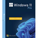 Windows 11 Pro 64 bit Multilanguage Retail Medialess