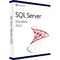 Sistem Operare Server Microsoft Windows SQL Server 2022 Standard kit ISO Licenta Digitala