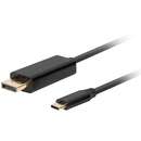 USB-C DisplayPort 1M Negru