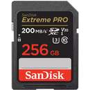 Extreme PRO 256GB SDXC UHS-I Class 10
