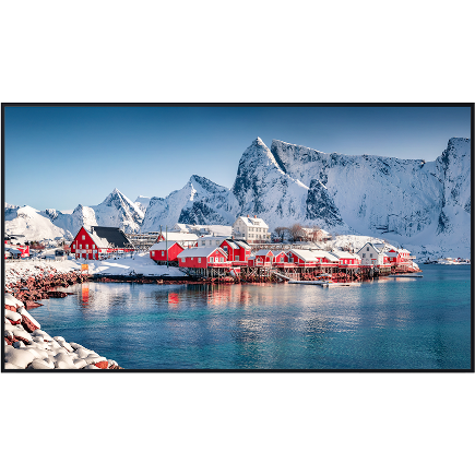 Display Panasonic Profesional TH-65SQE2W 65inch UHD