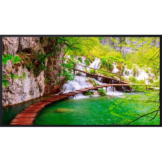 Display Panasonic Profesional TH-50CQE2W 50inch UHD Negru