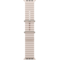 Curea NextOne H2O Band Apple Watch 38/40/41mm Roz