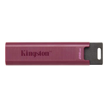 Memorie USB Kingston USB-A 3.2 DT Max 256Gb