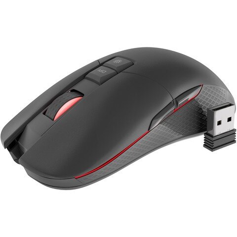 Mouse Zircon 330