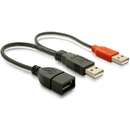 - Y-Splitter USB 2.0 - 23cm - in + out