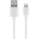 Lightning - USB charging and synchronization cable (white, 50cm)