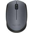 Wireless Mouse M170 USB