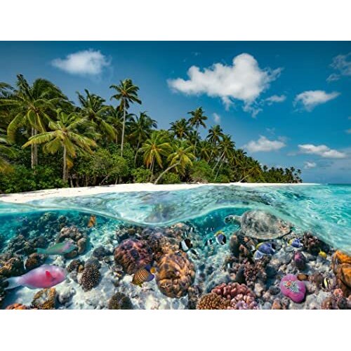 Jucarie Jigsaw Puzzle A Dive In The Maldives (2000 Pieces)