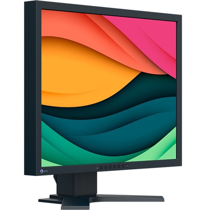 Monitor FlexScan S2134, LED monitor - 21.3 - black, DisplayPort, DVI-D, VGA