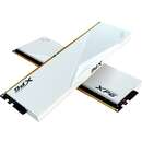 DDR5 - 64GB - 6000 - CL - 30 (2x 32 GB) dual kit, RAM (white, AX5U6000C3032G-DCLAWH, Lancer, INTEL XMP)