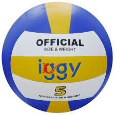 Minge Volei Iggy Material Premium PU Laminat Dimensiune 5 Greutate 240 Grame IGVB-PRO