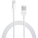 Lightning USB Cable - 2m - white