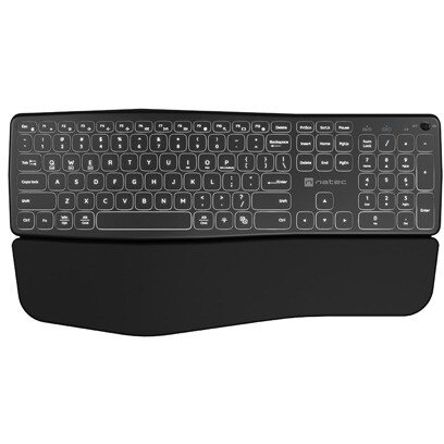 Tastatura Porifera Negru