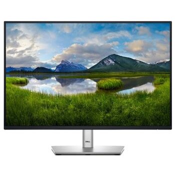 Monitor P2425E LED 24inch Gri