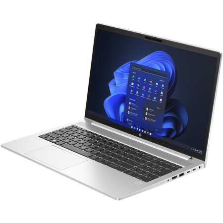 Laptop HP ProBook 450 G10 15.6 inch FHD Intel Core i5-1335U 16GB DDR4 1TB SSD Windows 11 Pro Silver