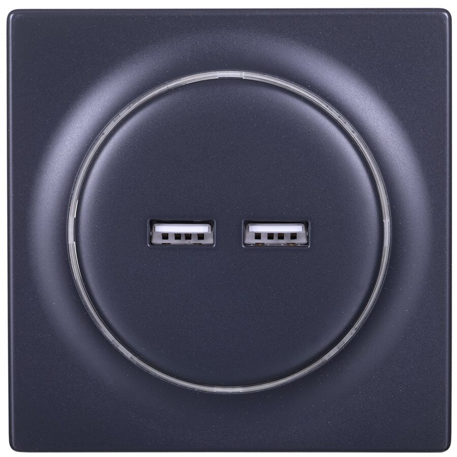 Priza FGWU-021-8 2x USB Negru