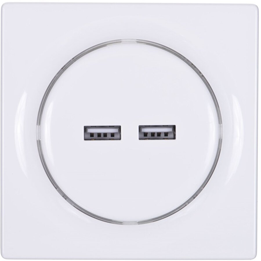 Priza Walli N 2x USB Alb