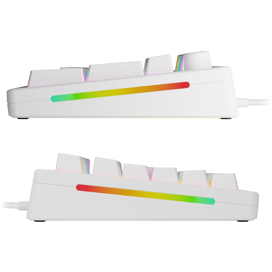 Tastatura Mecanica Glorious GMMK 3 100% Prebuilt USB-C Fox Switches US Layout 104x Taste Alb — imaginea 3