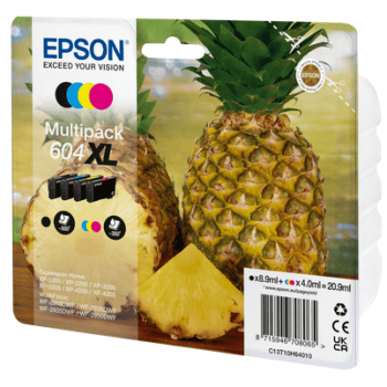 Cartuș Inkjet Epson Multipack C13T10H64010