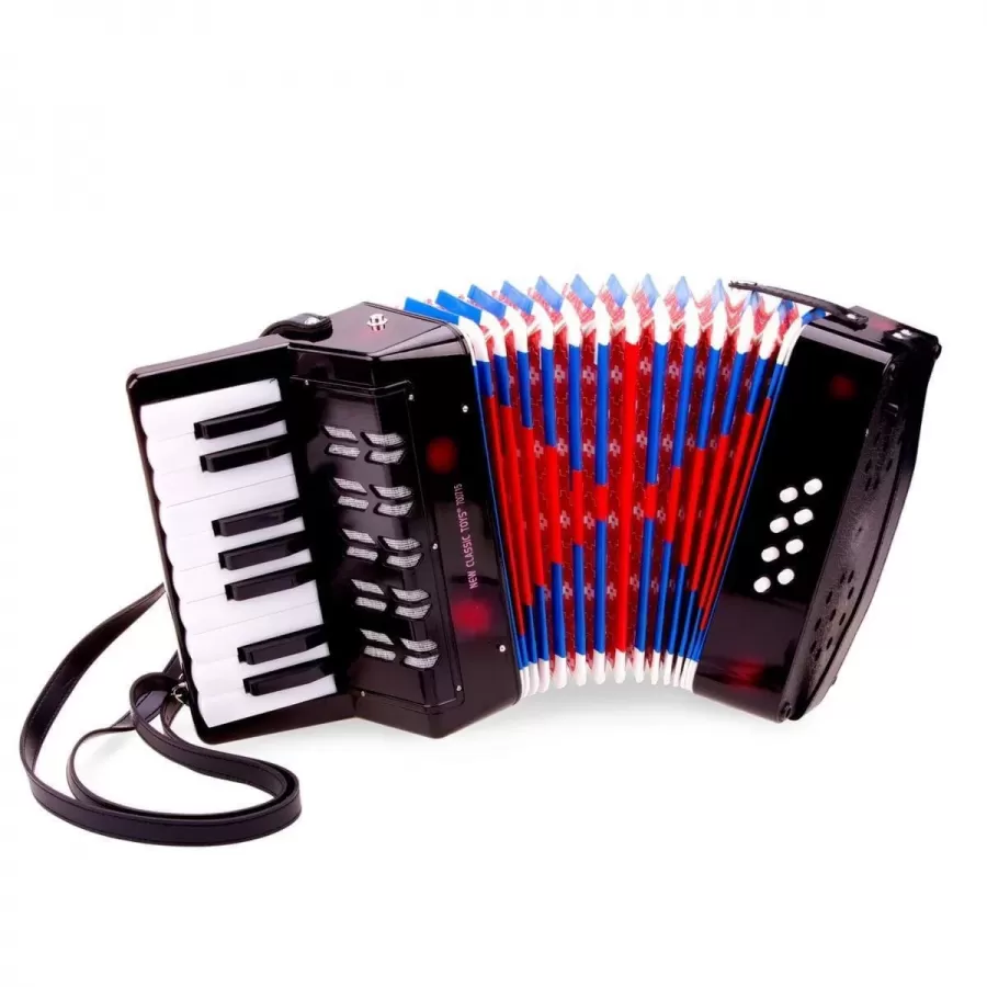 Jucărie Acordeon New Classic Toys 17 Taste 23.5 x 10 x 23Cm Negru