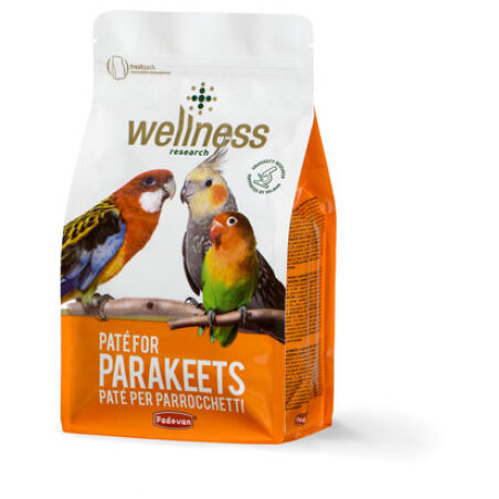 Hrana pentru Papagali Wellness 600 g