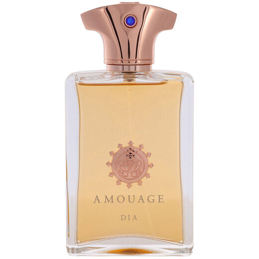 Apa de Parfum Amouage Dia Man 100 ml H ITGalaxy.ro