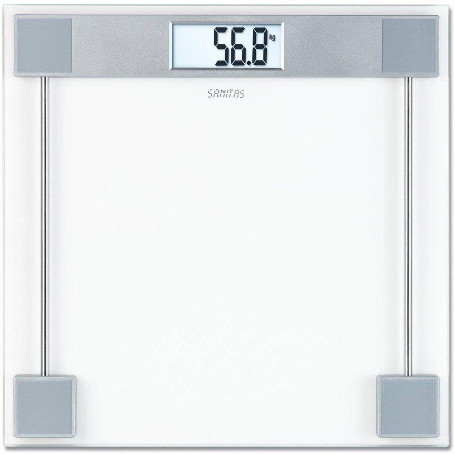 SGS 06 , scale (transparent/silver)