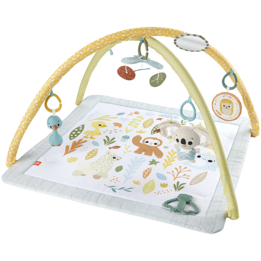 Fisher-Price Fisher-Price Simply Senses Sensory Activity Blanket, Play Arch/Blanket
