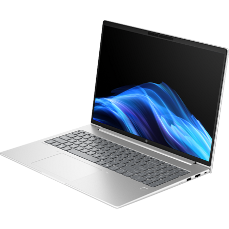 Laptop HP ProBook 4 G1a WUXGA 16 inch AMD Ryzen 7 250 24GB 1TB SSD Windows 11 Pro Silver
