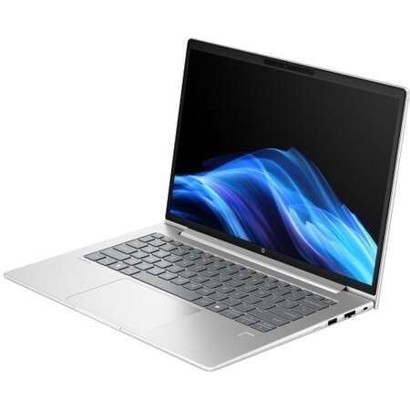 Laptop HP ProBook 4 G1a AMD Ryzen 7 250 14inch RAM 24GB SSD 1TB AMD Radeon 780M Windows 11 Pro Pike Silver
