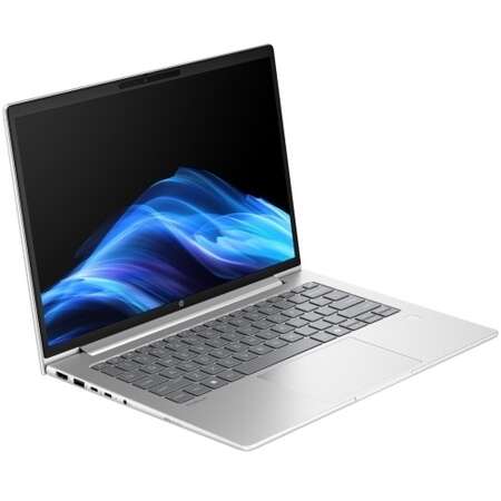 Laptop HP ProBook 4 G1a AMD Ryzen 7 250 14inch RAM 24GB SSD 1TB AMD Radeon 780M Windows 11 Pro Pike Silver