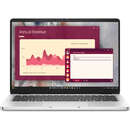 Laptop Dell Pro FHD+ 14 inch Intel Core Ultra 7 255U 32GB 512GB SSD Windows 11 Pro Silver