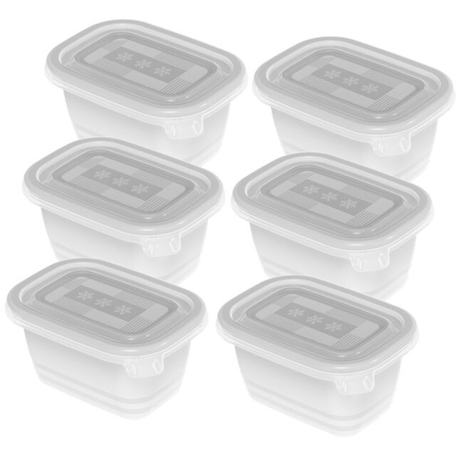 Recipiente Congelator Freeze  6x 250ml Transparent