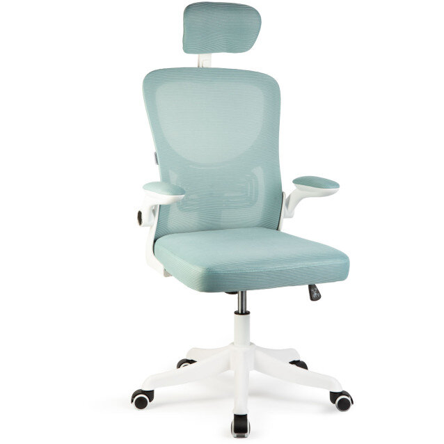 Scaun de Birou Ergonomic cu Brate Rabatabile 58 x 48 / 50 x 50cm Alb/Albastru