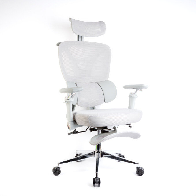 Scaun de Birou Ergonomic cu Brate Reglabile Tetiera si Suport Pentru Picioare Gri