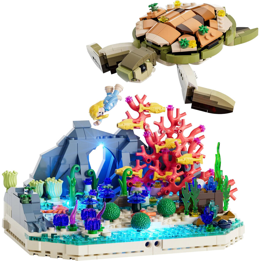 Turtle Reef Dream