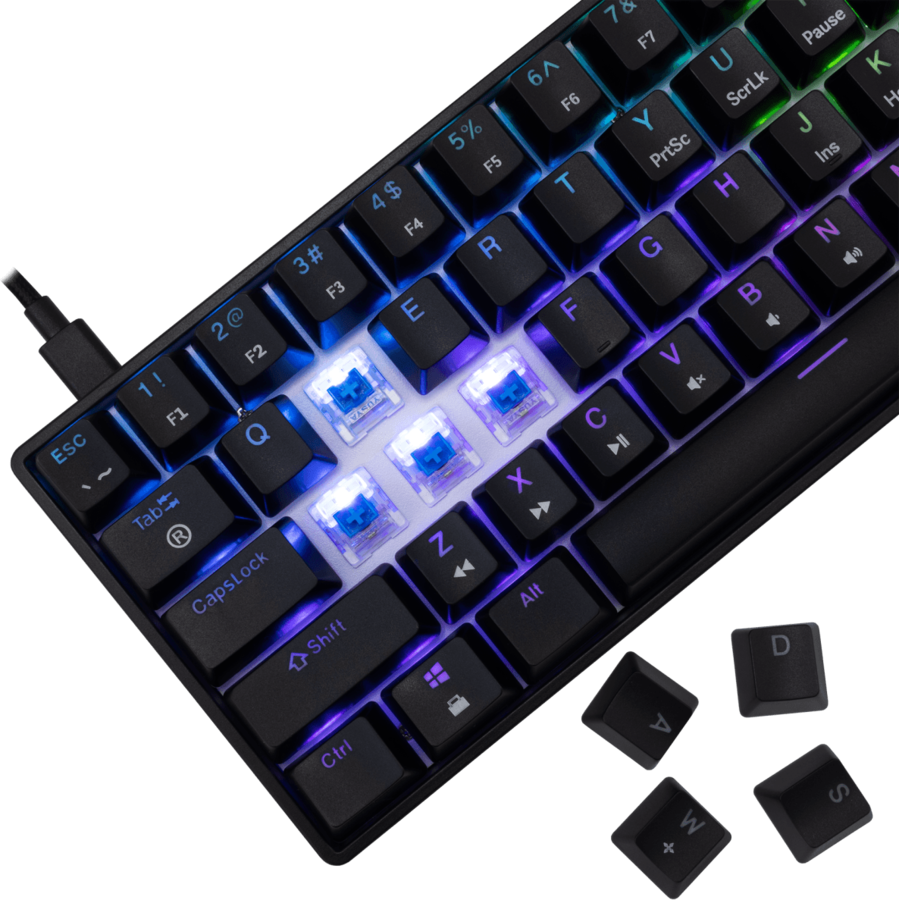 Tastatura Gaming cu Fir White Shark SHINOBI 2 Layout US Blue Switch Negru — imaginea 3