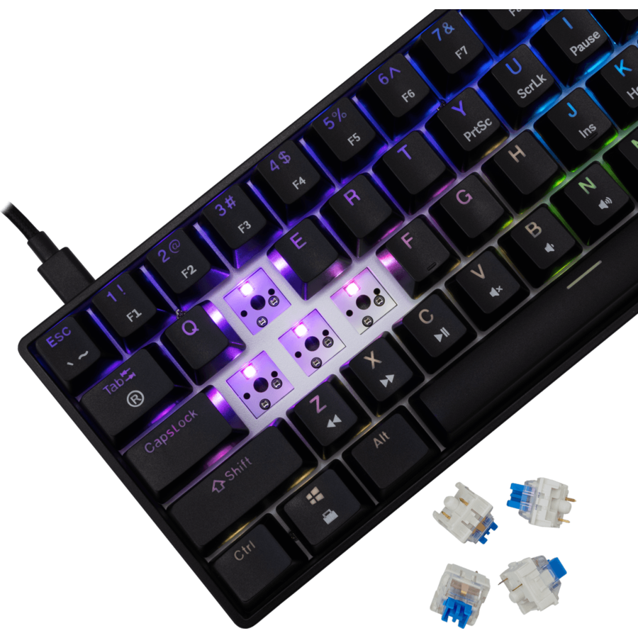 Tastatura Gaming cu Fir White Shark SHINOBI 2 Layout US Blue Switch Negru — imaginea 4